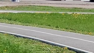 Тест камеры Samsung S 20 FE после обновления до One Ui 4.1 в 4 к 30 к/с