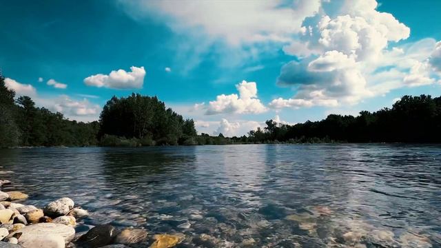 ??Лесная река и пение птиц | Концентрация внимания, медитация, учеба смотреть онлайн