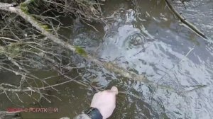 Рыбалка с рогаткой | Большие Карпы режут руки! | Охота на рыбу с рогаткой | Весенняя охота 2021 #8