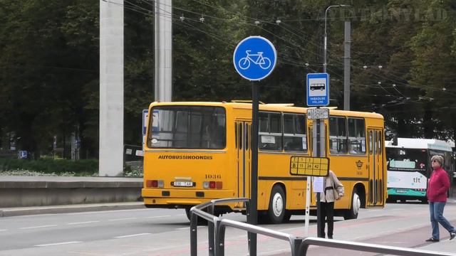 Buses in Tallinn, Estonia 🇪🇪 | TLT | 2023 смотреть онлайн