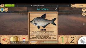 Как поймать Леща на Братском водохранилище [NEW] | Реальная Рыбалка.