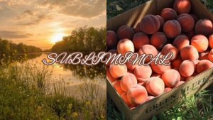 Саблиминал от энергетических вампиров | убираем негативные подключения ❤