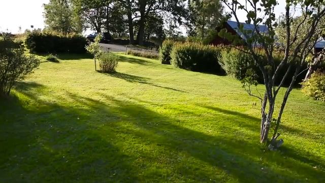 Газонокосилки-роботы Husqvarna Automower: детальный обзор смотреть онлайн