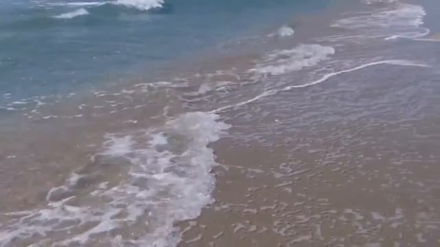 База Отдыха ПАРУС смотреть онлайн