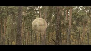 Generation.P. (Про мухоморы)