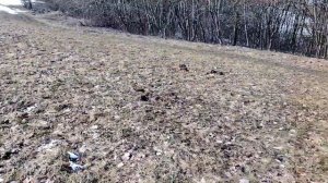 по выбитому месту с ГОЛД ХАНТЕР Т90