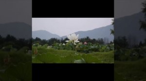 ?Сильнейшая мантра защиты  и помощи