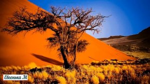 Веселая Африканская Музыка! Африканские Барабаны! Мелодии АФРИКАНСКИХ племён!