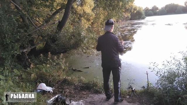 Бешенный клёв карпят. Утренняя рыбалка на поплавочную удочку смотреть онлайн