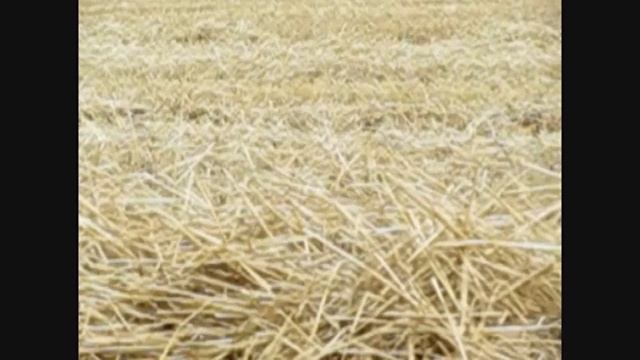 Измельчитель соломы в валках УМС 170 смотреть онлайн