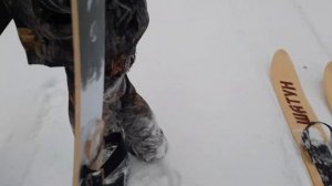 Сравнение лыж Шатун и Охотник в реальных условиях.