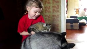 Увезу тебя я в тундру.