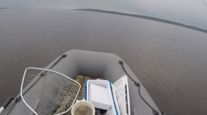 Колбасим окуней на Воткинском водохранилище(река Кама)