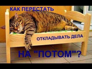 А вы тоже откладываете дела на "потом"??? С этим можно бороться!!!