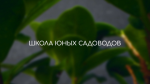 Школа юных садоводов в «НЕБЕ»: учимся сажать цветы