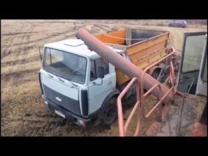 уборка пшеницы