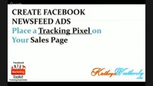 Selling Tee Shirts Online with Facebook Newsfeed Ads