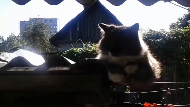 Бася дает интервью смотреть онлайн