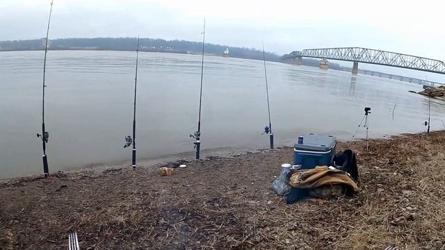 хорошая рыбалка,ловили рыбу поймали саламандру. Shovel Nose, Salamander and Drum. смотреть онлайн