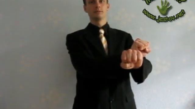 Стоп (Русский Язык Жестов)