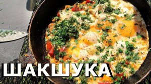 ШАКШКУКА на завтрак | Как приготовить яичницу с томатами