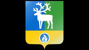 Заседание Совета депутатов городского поселения Белоярский четвертого созыва (10.02.2022)