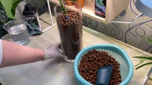 Посадки растений на гидропонику ! НАЧАЛО 😃#38