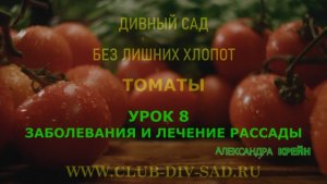 ТОМАТЫ Часть 1. Урок 8. ЗАБОЛЕВАНИЯ И ЛЕЧЕНИЕ РАССАДЫ