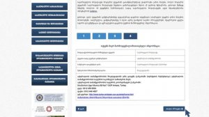 Geoconsul.gov.ge - Instructional Video Part 3