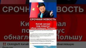 Китай загнал под плинтус обнаглевшую Польшу #китай #польша #новости