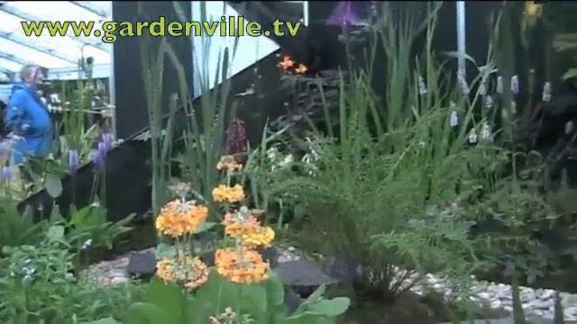 Irish water plants смотреть онлайн