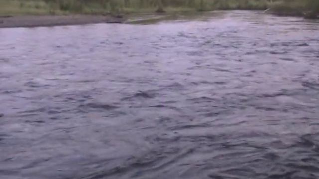 Legal Addiction: Float fishing for King Salmon (Chinook) on Willow Creek, Alaska.
