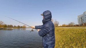 Бюджетные спиннинги для джига. Часть 2. Nautilus T-killer.