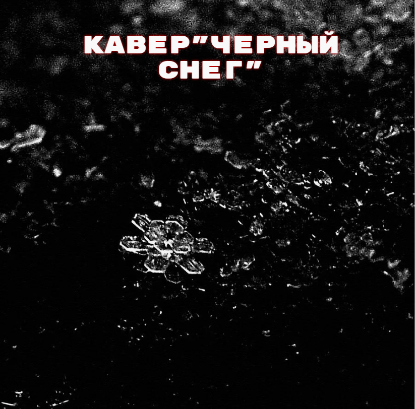 Кавер"Черный снег"