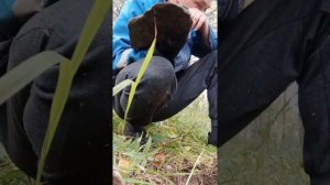 коп в заброшенной военной ракетной части , металл ,гильзы ,пули .