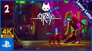 Stray | Прохождение. Часть 2. ФИНАЛ | PS5 4K 60FPS