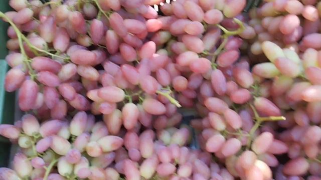 Виноград Софина на продажу 7 августа 2024. Хороший вид и вкус. Крупная ягода мясисто-сочная. mp4