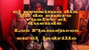 el ladrillo.- " flamencos" hoy dia 22 de enero. 30 aniversario