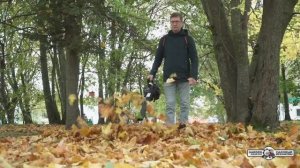 Воздуходувка бензиновая Caiman Tornado PB300 в работе