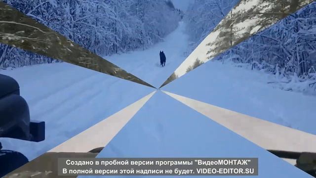 Зимняя охота на кабана / 2019 г. смотреть онлайн