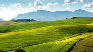 ЛУИЗА ХЕЙ Афирмация на исцеление .