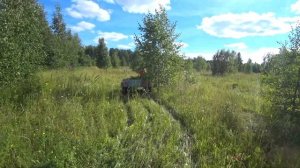 Трицикл SR-32 с прицепом, съездили за берёзовыми вениками для бани.