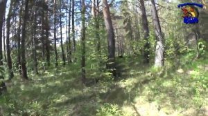 СКОЛЬКО ЖЕ РЫБЫ В ЛУЖЕ??? Рыбалка моего детства! Ловля гольяна!