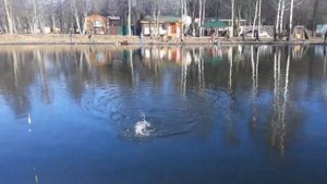 Удочка самоподсекайка.