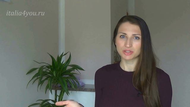 1. Диктант на итальянском, для начинающих