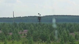 ЗВУКИ СИРЕНОГОЛОВОГО