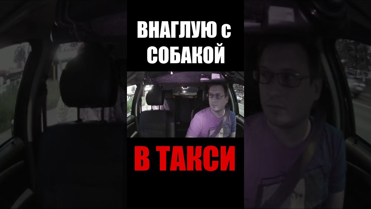 ЛЕЗУТ ВНАГЛУЮ С СОБАКОЙ в ТАКСИ #втакси #такс #сменавтакси
