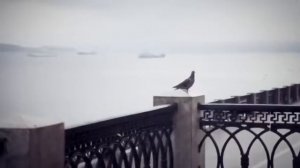 Фолк-группа "Кумовья"