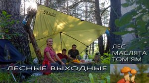 ЛЕС, МАСЛЯТЫ, СУП ТОМ ЯМ (13 06 2021)