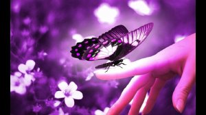 ЗАПУСТИ ПОТОК ВЕЗЕНИЯ ПРЯМО СЕЙЧАС!